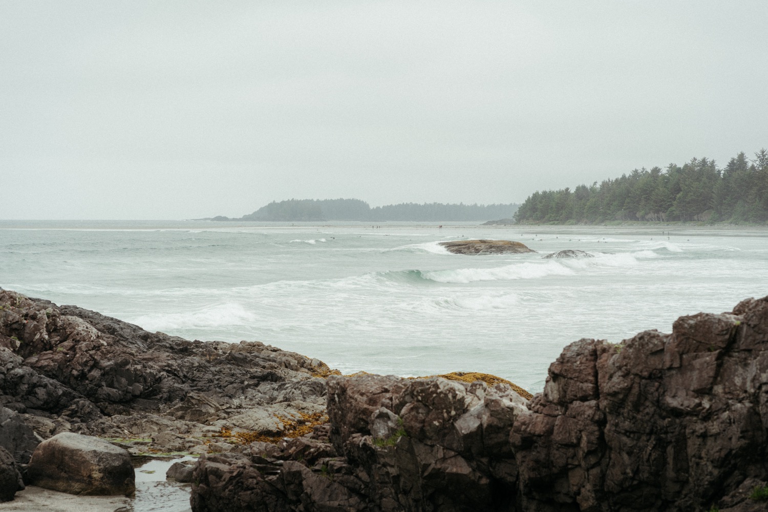 Destination Beach Elopement in Tofino, BC