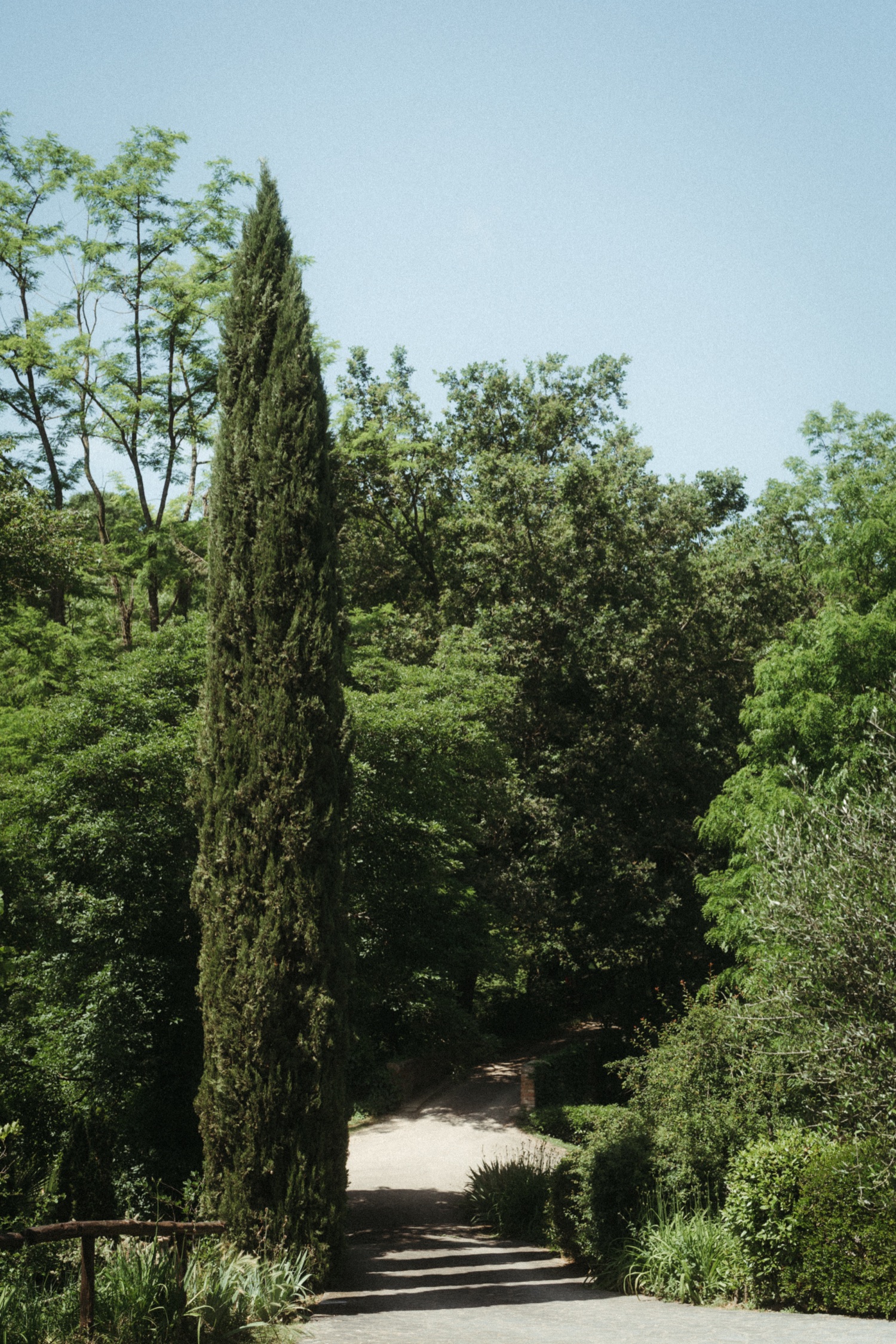 Intimate Tuscany Italy Wedding at Poggio Molina | Destination Wedding Photographer